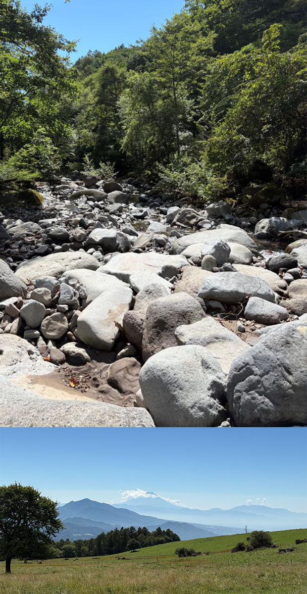 �g���b�L���O