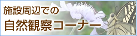 ̌@Rώ@R[i[